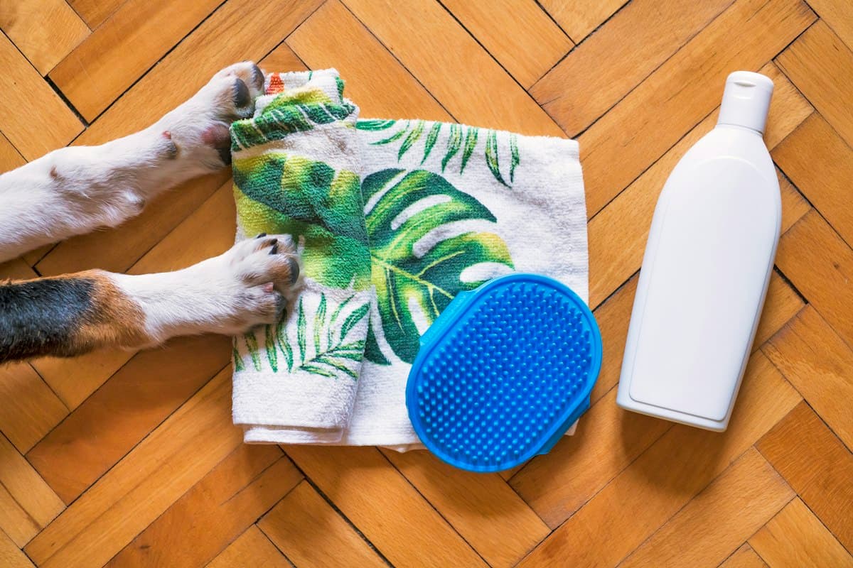 Gant de Toilettage en Silicone