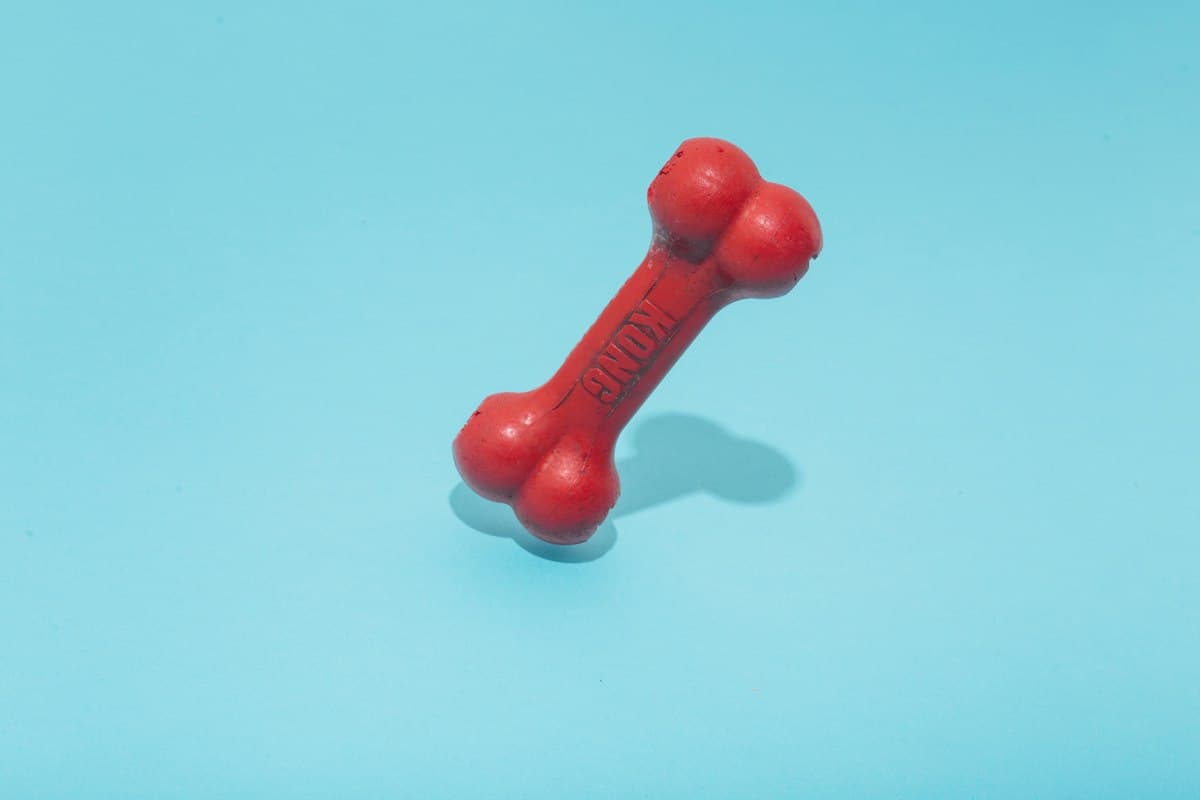 Os à Mâcher en Caoutchouc